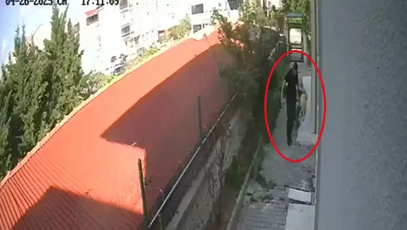 Veteriner Doktorun Şok Edici Suçlaması: Sahiplendiği Köpekleri Parçaladı!