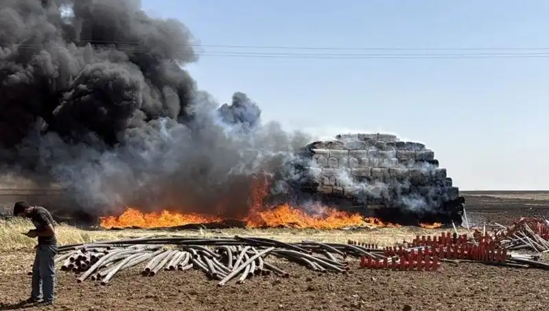 Mardin'de Korkutan Anız Yangını: Zarar Gören Alanlar ve Detaylar!
