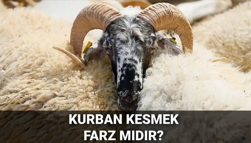 Kurban Kesmenin Dini Boyutu: Farz Mı, Şartları Neler?