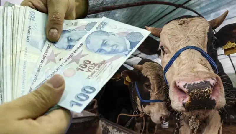 Bayram Öncesi Emekli ve Memur Maaşları Ne Zaman Yatacak?