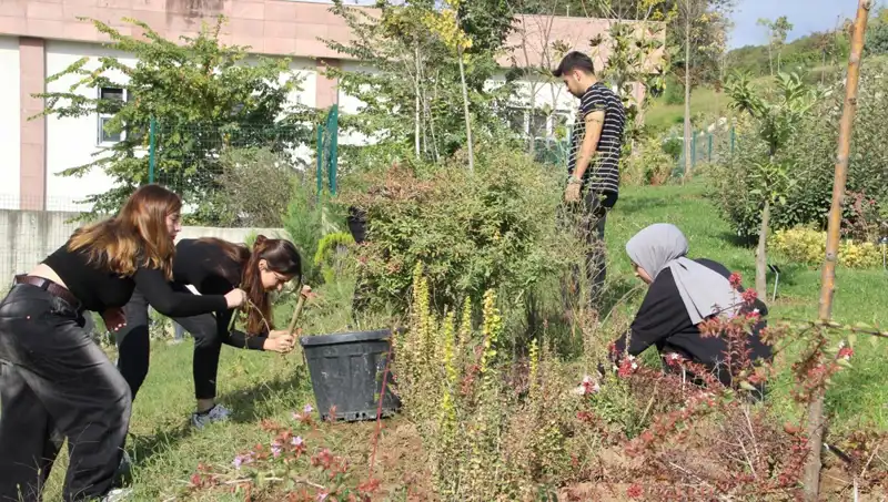 Düzce’nin Yıldızları: Hayalini Gerçeğe Dönüştüren Başarı Hikayesi