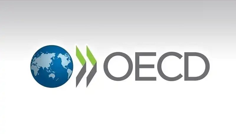 OECD’den Türkiye İçin Büyüme Tahmini: Ekonomik Sürprizler Kapıda mı?