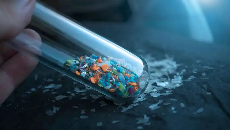 Mikroplastikler Beynimizde: Sağlığımızı Tehdit Eden Riskler