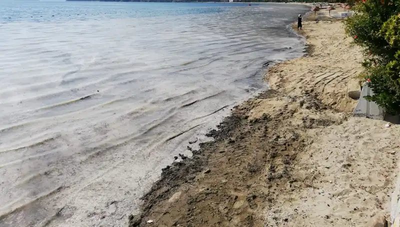 Müsilaj Sorunu Üzerine Şok Gelişme: 268 İşletme Kapatıldı