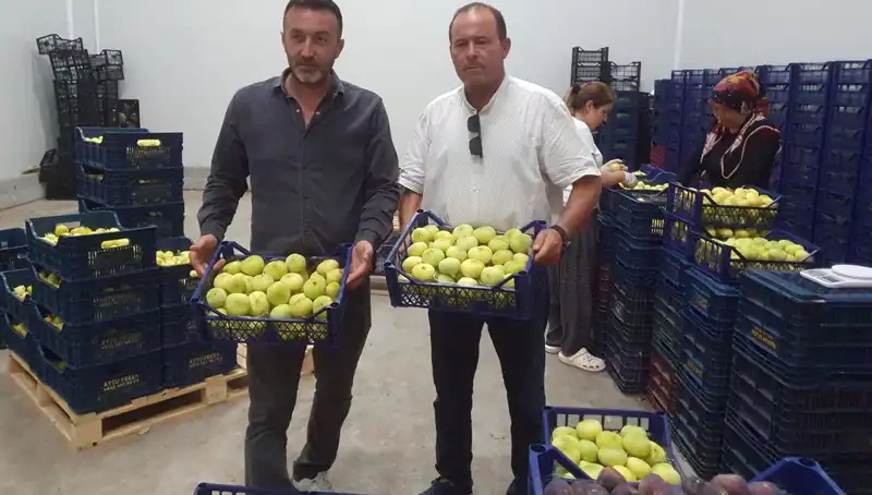 Mersinli Çiftçilerin Sevinci: 20 TL'den İhraç Edilen Ürünler