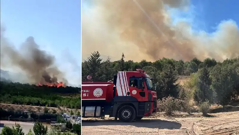 Gebze'de Orman Yangını: Doğa ve Hayat Tehdit Altında