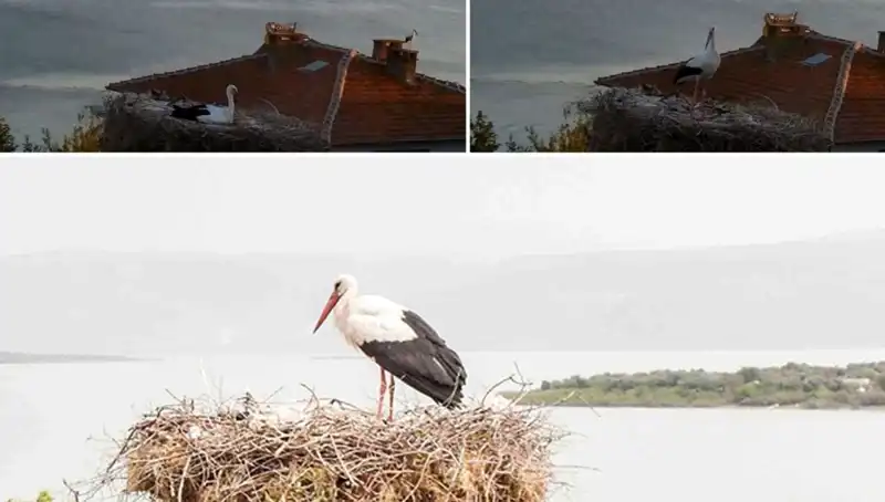 Yaren Leylek Depremi Nasıl Önceden Hissedildi? İşte Çarpıcı Detaylar!