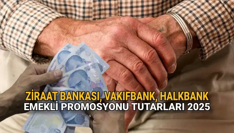 2025'te Emeklilerin Yüzünü Güldüren Kamu Bankaları Promosyonları