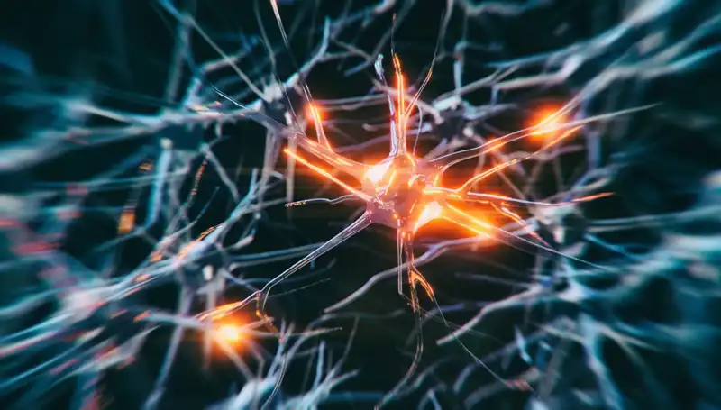 Alzheimer Vakalarındaki Endişe Verici Artışın Arkasındaki Nedenler