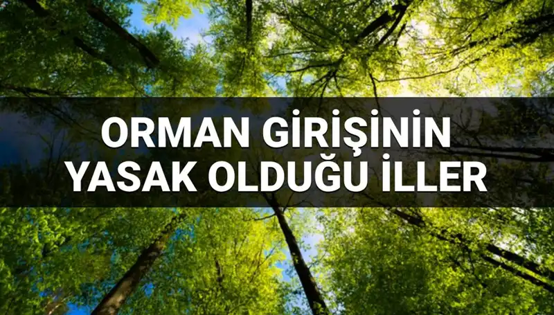 Türkiye'de 2025 Yılı İçin Ormana Girişin Yasaklandığı İller Açıklandı