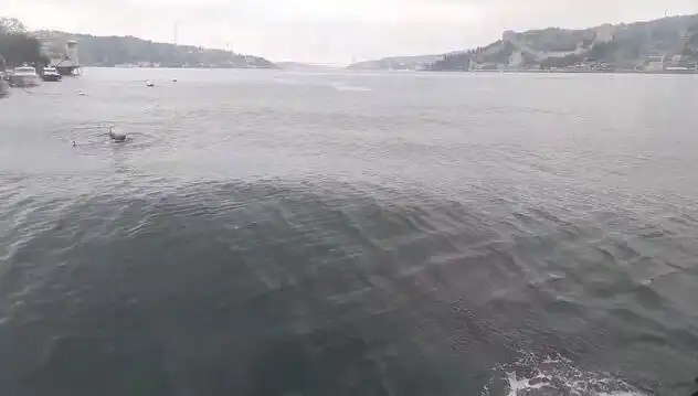 İstanbul Boğazı'nda Dalgalar Yükseldi: Olası Etkileri ve Güvenlik Önlemleri