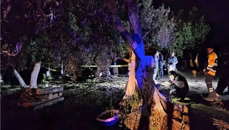 Çiftlikteki Baltalı Vahşet: Bir Tutuklama ile Sonuçlandı