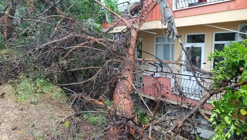 Yağmurda Dayanamayarak Devrilen Bina: Anlık Dehşet Anları
