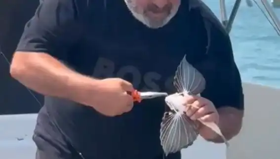Saros Koyu'nda Nadir Görülen Kırlangıç Balığı Avlandı!